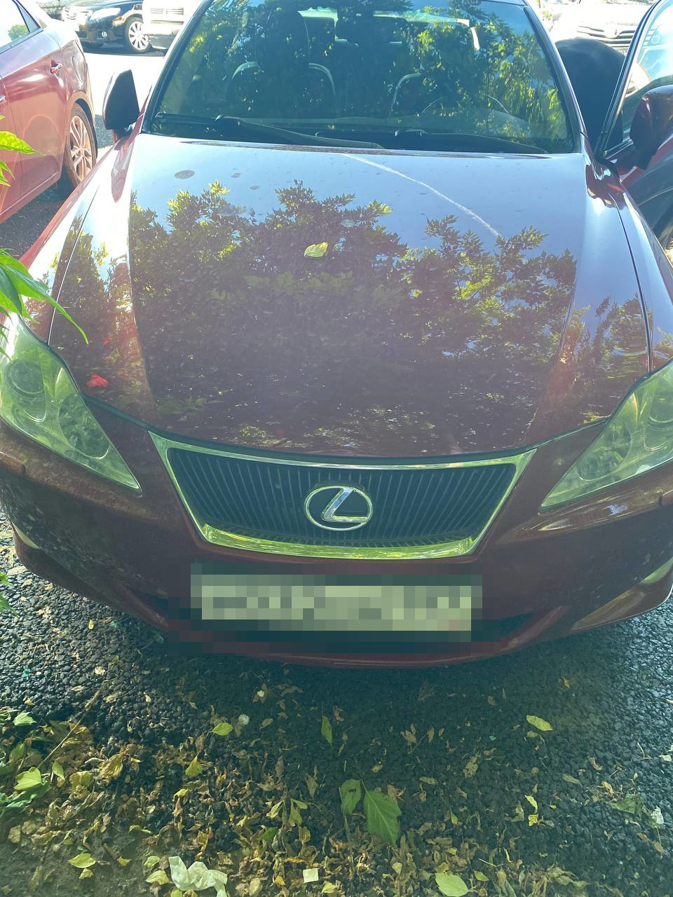 Полицейская маркировка Lexus IS 250